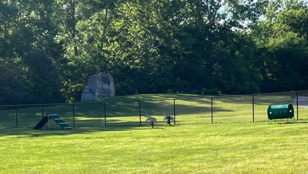 Plainfield Bark Park at Franklin Park
